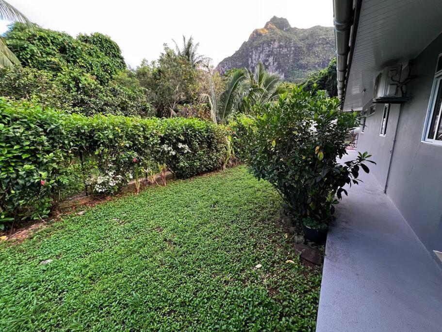 Kahai Lodge Maison Tout Confort Et Spacieuse A بورا بورا المظهر الخارجي الصورة